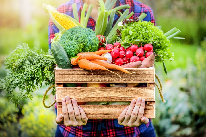 Wooden crate filled with fresh vegetables including carrots, radishes, broccoli, corn, sweet potatoes, cucumber, and leafy greens, being held outdoors in a garden setting.